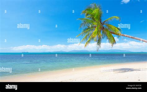 aspect ratio  res stock photography  images alamy