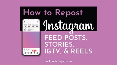 repost instagram feed posts stories igtv reels small