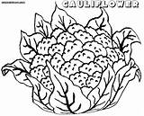 Cauliflower Coloring Pages sketch template