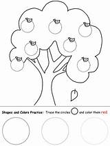 Worksheet Worksheets Apple Tree Circle Preschool Tracing Shapes Shape Pre Printable Trace Coloring Kids Pages Color Circles Kindergarten Practice Activities sketch template
