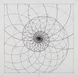 Fibonacci Geometry Logarithmic Spirals Araujo Venezuelan Geometrie Artists Heilige Creates Meticulously Fastcompany Fractal Zeichnungen Goldener Schnitt sketch template