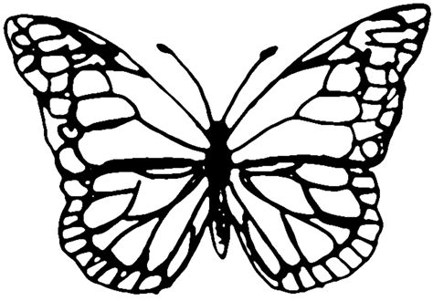 butterfly coloring pages learny kids