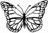 Monarch Printable Drawing Shrink Mariposa Brooch Clipartmag sketch template