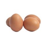 hen eggs  stock  image