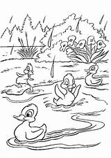 Bamby Duck Ducks Tulamama šest Kids Bojanke Crtež Gifgratis sketch template