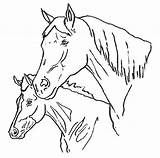 Caballos Imprimir Cavalli Caballo Ausmalbilder Cavalos Pferde Coloriage Chevaux Cavallo Salvajes Colorir Cabeza Animali Stampare Cabezas Konji Dessin Playmobil Spirit sketch template