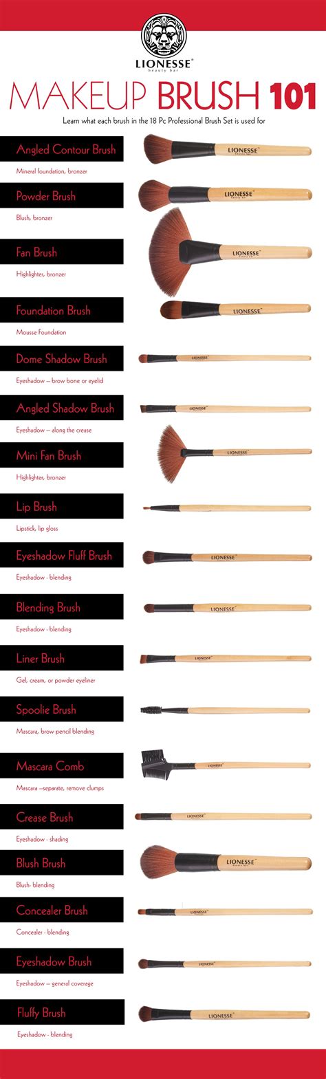 makeup brush 101 infographic makeup pinterest makeup