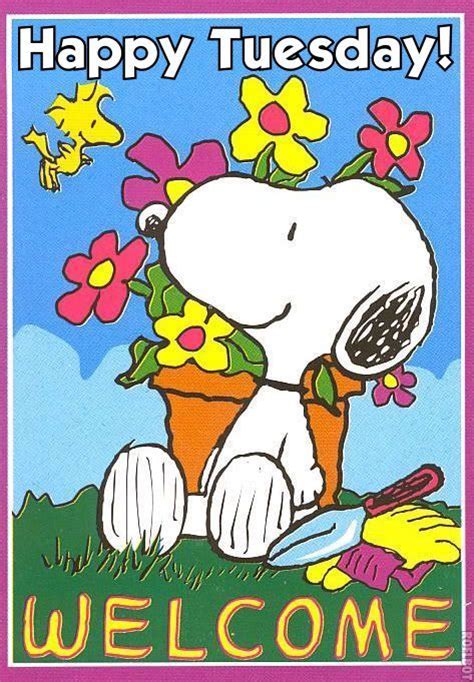happy tuesday snoopy pictures   images  facebook tumblr
