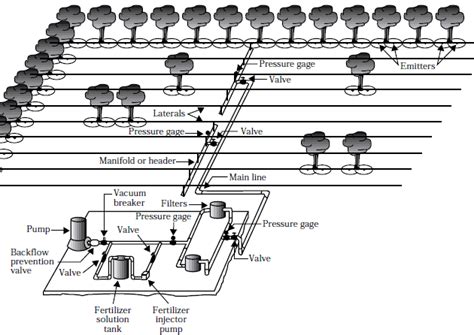 typical drip irrigation system layout   scientific diagram