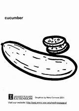 Cucumber Coloring Gurke Malvorlage Edupics Ausmalbild Pages Zum sketch template