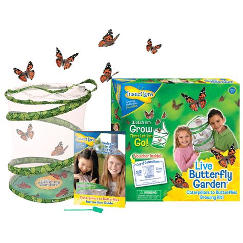 insect lore butterfly garden  children early years shop