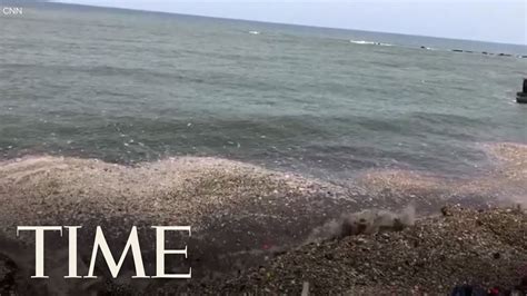 waves of garbage are covering the dominican republic s beaches in trash