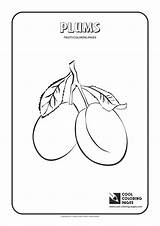 Coloring Plums Pages Plum Cool Fruits Template Popular Print Oranges sketch template