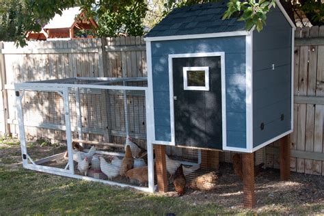 chicken coop  story  chickens housewives