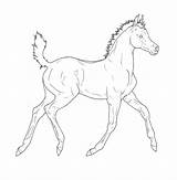 Foal Horse Drawing Arabian Lineart Deviantart Easy Head Clipart Carousel Getdrawings sketch template