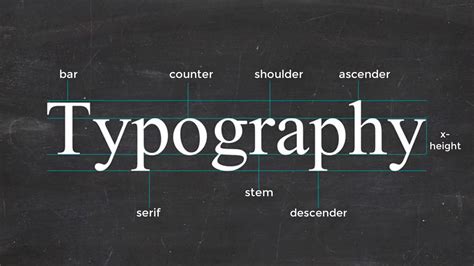 typography anatomy   letter youtube