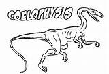 Coelophysis Dinosaur Pages Coloring Procompsognathus Theropod Triassic Coloringpagesonly sketch template