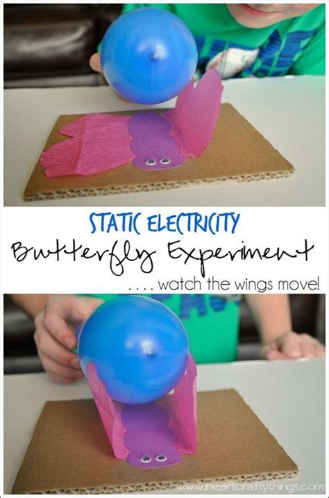 images  science projects  pinterest science experiment