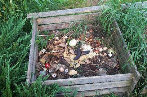 fare il compostaggio ed una compostiera fai da te giardinaggio piante  fiori