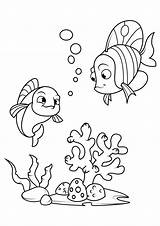 Kleurplaat Fisch Zee Para Dibujo Colorear El Pescado Mar Vis Fisk Freund Meer Mit Im Malvorlage Con Bilde Ami Fargelegge sketch template
