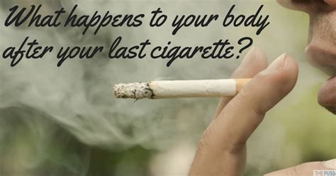what happens to your body when you quit smoking the fuss
