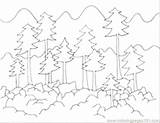 Coloring Pages Forest Habitat Getdrawings Animals sketch template