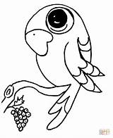 Coloring Parrot Pages Parrots Bird Funny Branch Drawing Supercoloring sketch template