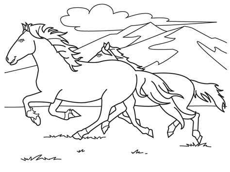 color book horse  coloring page