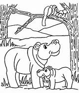 Nijlpaard Kleurplaten Jong sketch template