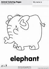 Coloring Elephant Simple Supersimple Super sketch template