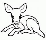 Deer Coloring Baby Pages Printable Kids Drawings Clipart Drawing Cute Easy Animals Draw Color Animal Cartoon Sketch Mule Popular Clipartpanda sketch template