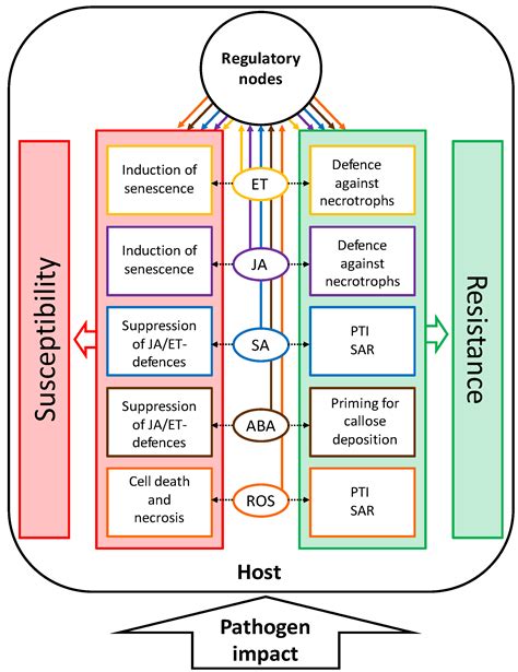 plants free full text keeping control the role of