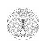 Mandala Peacock Coloring Vector Royalty sketch template