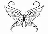 Schmetterling Zum Schmetterlinge Ausmalen Papagei Malvorlage Butterfly Ausmalbild Anmalen Kostenlose Butterflies Insekten Schoener Blume sketch template