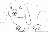 Rabbit Dots Dot sketch template