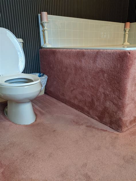 guys hate carpet   bathroom       parents