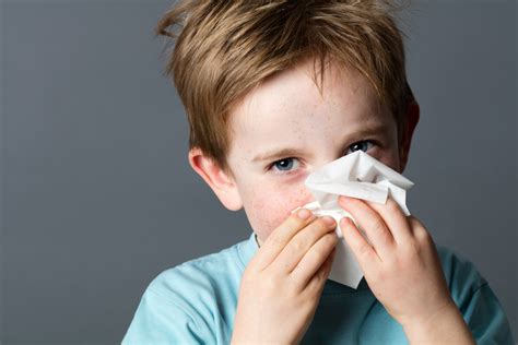 alergias en ninos  son cuales son sus causas  como evitarlas revista pediatria  familia
