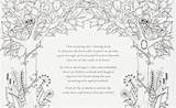 Forest Coloring Book Enchanted Quest Inky Club Post Previous Next sketch template