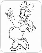 Daisy Duck Coloring Pages Bird Disneyclips Greeting sketch template