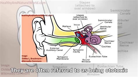 crackling sound  ear common   remedies   rid  noise youtube