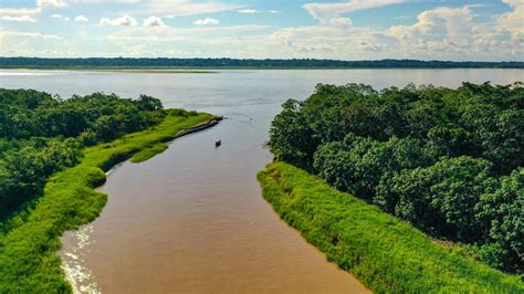 rio amazonas comemora  anos como maravilha natural  mundo
