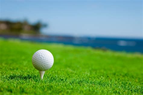 play golf  sanibel captiva island florida golf courses