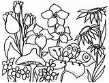 Coloring Garden Flower Flowers Kids Book Print sketch template
