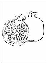 Coloring Pages Rosh Hashanah Kids Pomegranate Craft Jewish Fruits Fruit Crafts Drawing Sheets 1coloring Adult sketch template