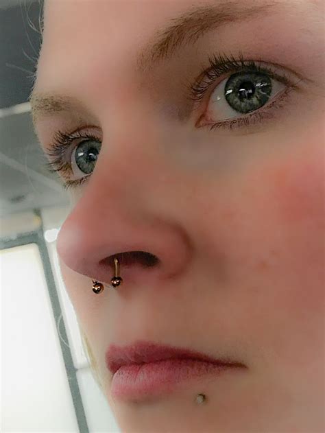 pin by body piercing by qui qui on septum piercings body piercing by