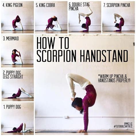 scorpion handstand poses  warm  scorpion handstand