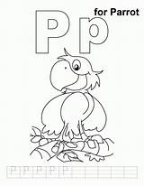Coloring Parrot Letter Practice Pages Handwriting Colouring Kids Alphabet Printable Worksheet Pp Preschool Bestcoloringpages Sheets Popular Library Clipart Coloringhome Puerto sketch template