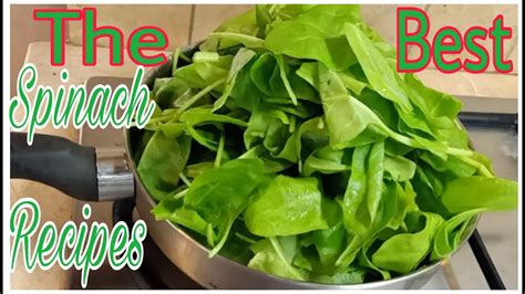 spinach recipes youtube