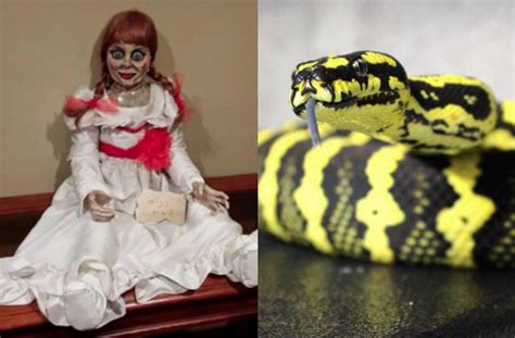 The 8 Most Wtf Things On Ny Craigslist Right Now Creepy Doll Edition
