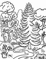 Coloring Forest Pages Printable Coloringcafe Sheets sketch template